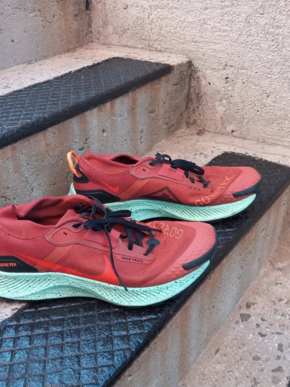 Nike Pegasus Trail 3 GTX GORE-TEX Rugged Orange Size 12 DC8793-800 Waterproof